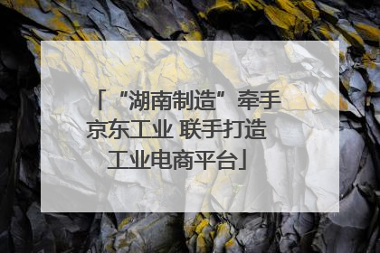 “湖南制造”牵手京东工业 联手打造工业电商平台