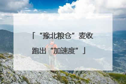 “豫北粮仓”麦收跑出“加速度”