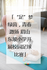 “足”梦绿茵，青春激扬 眉山东坡小学开展校园足球比赛