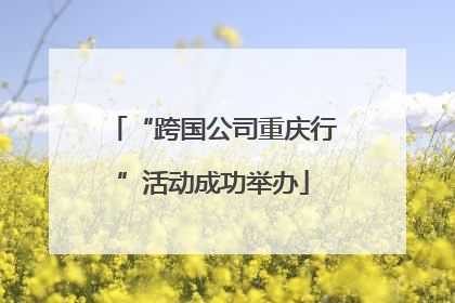 “跨国公司重庆行”活动成功举办