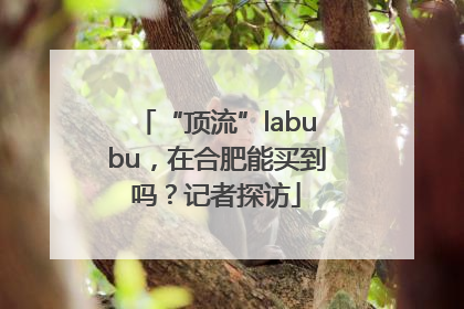 “顶流”labubu，在合肥能买到吗？记者探访
