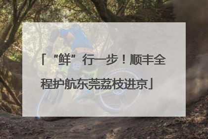 “鲜”行一步！顺丰全程护航东莞荔枝进京