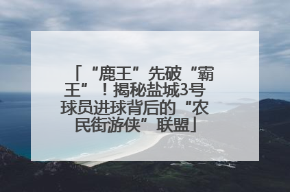 “鹿王”先破“霸王”！揭秘盐城3号球员进球背后的“农民街游侠”联盟