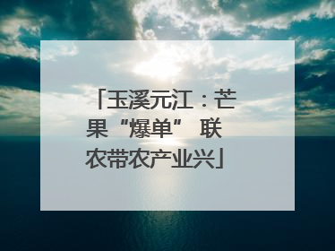 玉溪元江：芒果“爆单” 联农带农产业兴