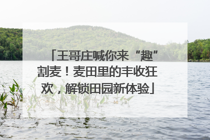 王哥庄喊你来“趣”割麦！麦田里的丰收狂欢，解锁田园新体验