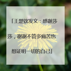 王楚钦发文：感谢莎莎，谢谢不管多痛苦也想证明一切的自己