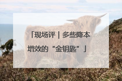 现场评｜多些降本增效的“金钥匙”