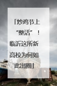 炒鸡节上“整活”！临沂这所新高校为何如此出圈