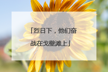烈日下，他们奋战在戈壁滩上