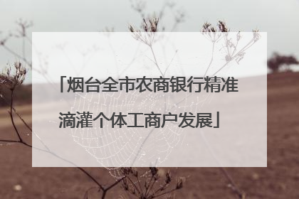 烟台全市农商银行精准滴灌个体工商户发展