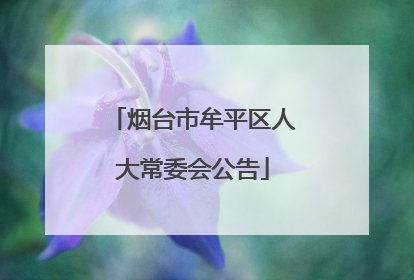 烟台市牟平区人大常委会公告