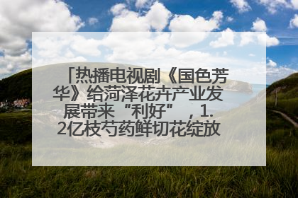 热播电视剧《国色芳华》给菏泽花卉产业发展带来“利好”，1.2亿枝芍药鲜切花绽放“国色芳华”