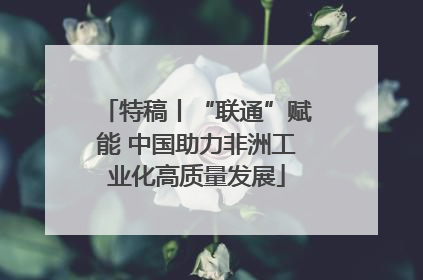 特稿丨“联通”赋能 中国助力非洲工业化高质量发展
