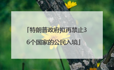 特朗普政府拟再禁止36个国家的公民入境