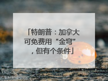 特朗普：加拿大可免费用“金穹”，但有个条件