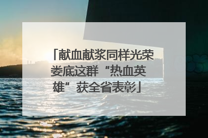 献血献浆同样光荣 娄底这群“热血英雄”获全省表彰