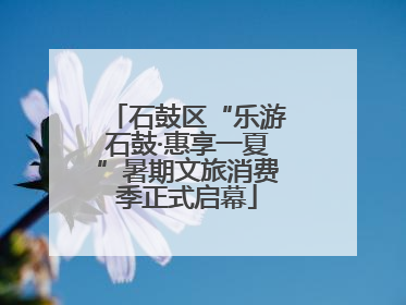 石鼓区“乐游石鼓·惠享一夏”暑期文旅消费季正式启幕