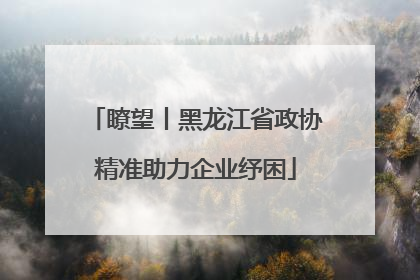 瞭望丨黑龙江省政协精准助力企业纾困