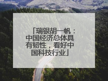 瑞银胡一帆：中国经济总体具有韧性，看好中国科技行业
