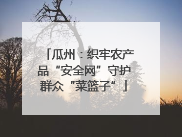 瓜州：织牢农产品“安全网”守护群众“菜篮子”
