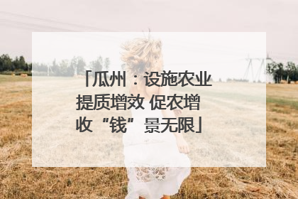 瓜州：设施农业提质增效 促农增收“钱”景无限