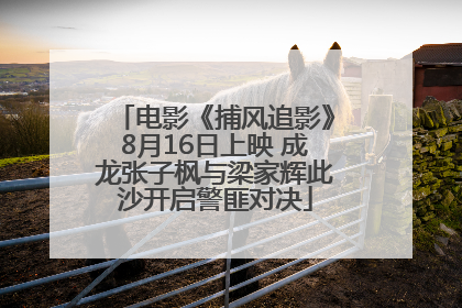 电影《捕风追影》8月16日上映 成龙张子枫与梁家辉此沙开启警匪对决