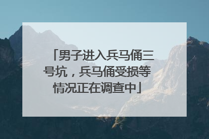 男子进入兵马俑三号坑，兵马俑受损等情况正在调查中