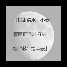 甘肃清水：小麦管理正当时 守护粮“芯”绘丰景