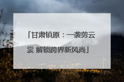 甘肃镇原：一袭剪云裳 解锁跨界新风尚