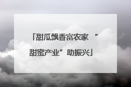 甜瓜飘香富农家 “甜蜜产业”助振兴