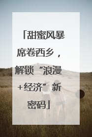 甜蜜风暴席卷西乡，解锁“浪漫+经济”新密码