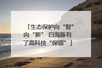 生态保护向“智”向“新” 白海豚有了高科技“保镖”
