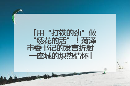 用“打铁的劲”做“绣花的活”！菏泽市委书记的发言折射一座城的炽热情怀