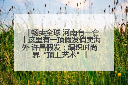 畅卖全球 河南有一套丨这里有一顶假发俏卖海外 许昌假发：编织时尚界“顶上艺术”
