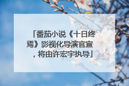 番茄小说《十日终焉》影视化导演官宣，将由许宏宇执导
