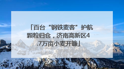 百台“钢铁麦客”护航颗粒归仓，济南高新区4.7万亩小麦开镰