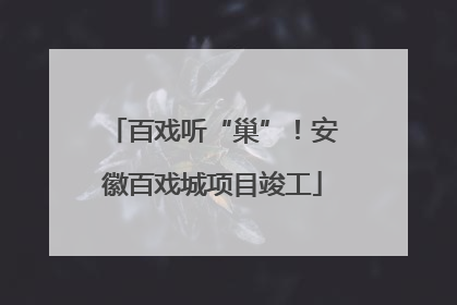 百戏听“巢”！安徽百戏城项目竣工