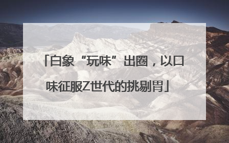 白象“玩味”出圈，以口味征服Z世代的挑剔胃