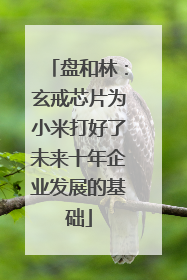 盘和林：玄戒芯片为小米打好了未来十年企业发展的基础