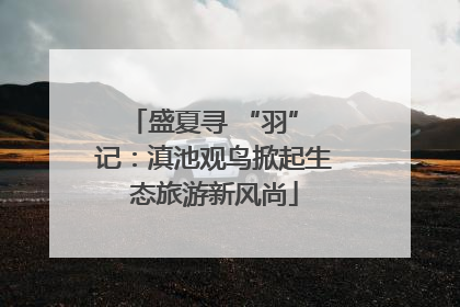 盛夏寻 “羽” 记：滇池观鸟掀起生态旅游新风尚