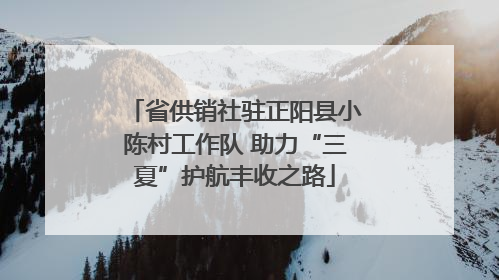 省供销社驻正阳县小陈村工作队 助力“三夏”护航丰收之路