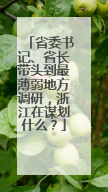 省委书记、省长带头到最薄弱地方调研，浙江在谋划什么？