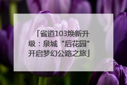 省道103焕新升级：泉城“后花园”开启梦幻公路之旅
