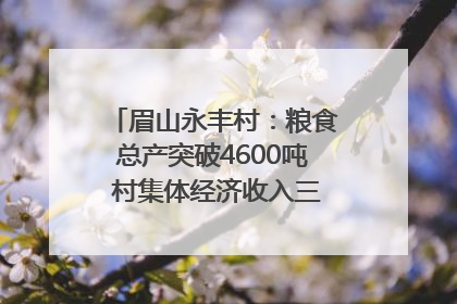 眉山永丰村：粮食总产突破4600吨 村集体经济收入三年倍增｜牵挂的村