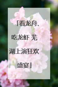 看龙舟、吃龙虾 芜湖上演狂欢盛宴