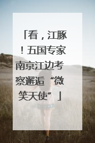 看，江豚！五国专家南京江边考察邂逅“微笑天使”