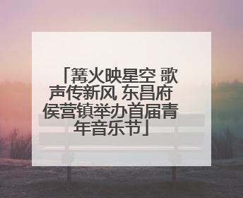 篝火映星空 歌声传新风 东昌府侯营镇举办首届青年音乐节