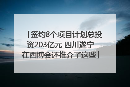 签约8个项目计划总投资203亿元 四川遂宁在西博会还推介了这些
