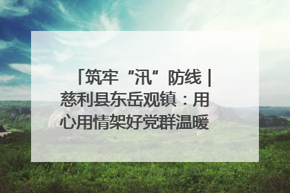 筑牢“汛”防线｜慈利县东岳观镇：用心用情架好党群温暖悠长的“连心桥”