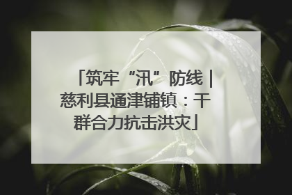 筑牢“汛”防线｜慈利县通津铺镇：干群合力抗击洪灾